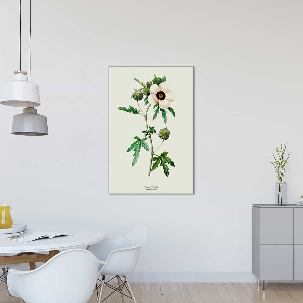Drie-urenbloem