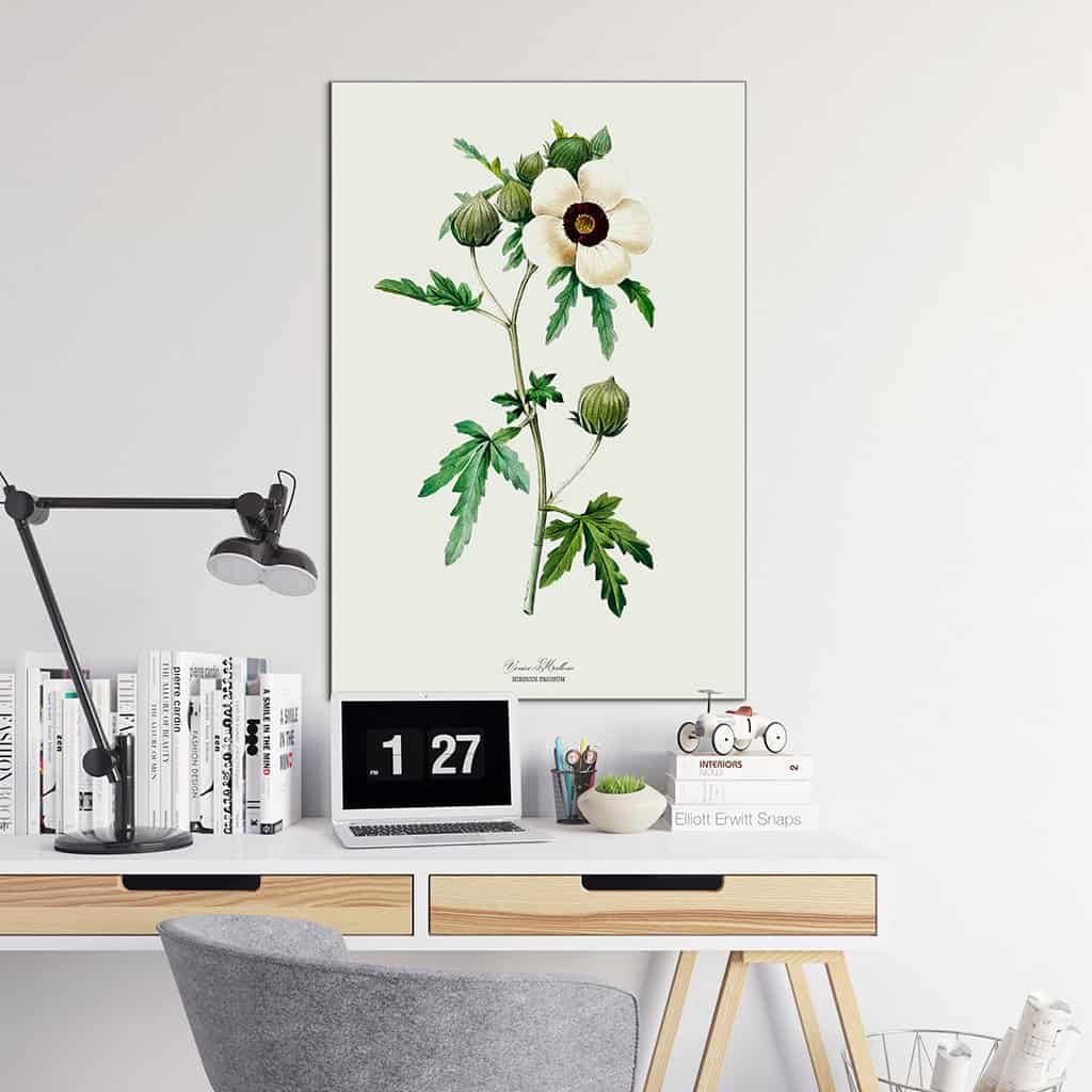 Drie-urenbloem