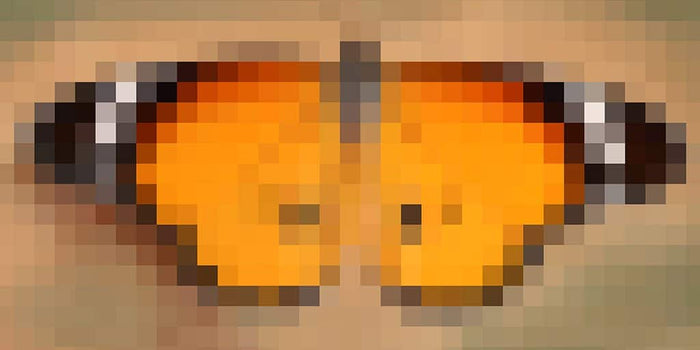 Vlinder - Pixel Art