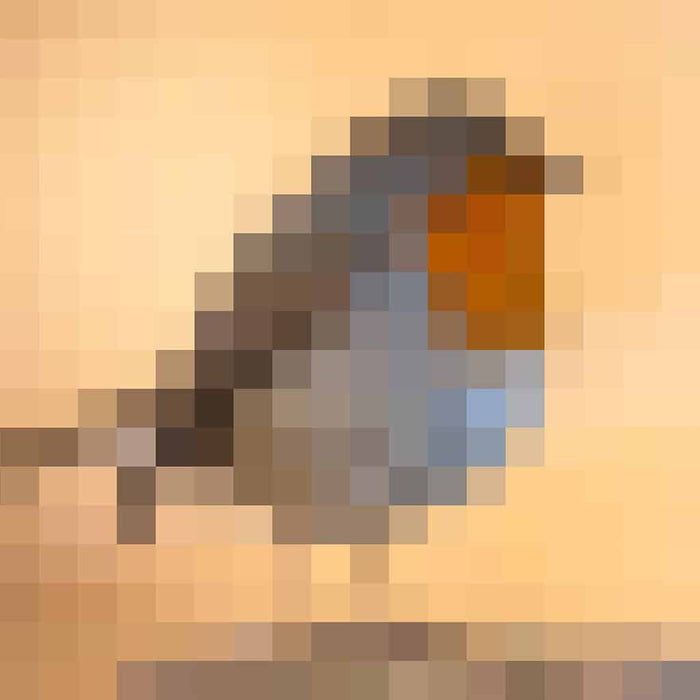 Vogel - Pixel Art