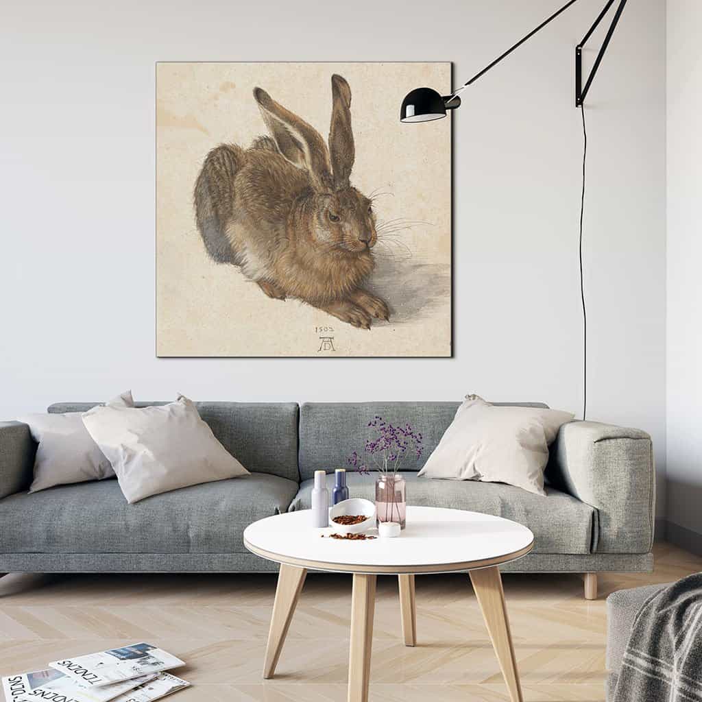 Jonge Haas (Albrecht Dürer)