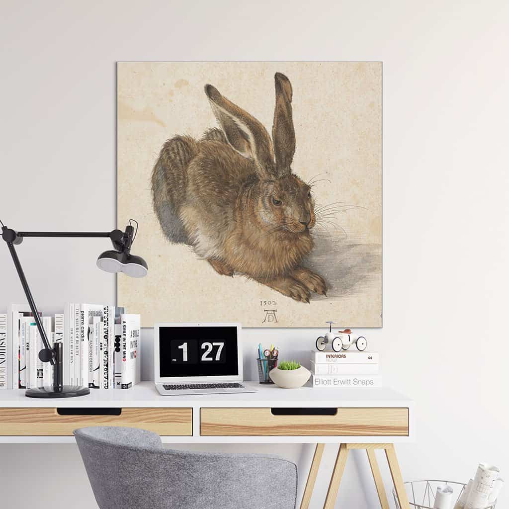 Jonge Haas (Albrecht Dürer)