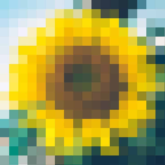 Zonnebloem - Pixel Art