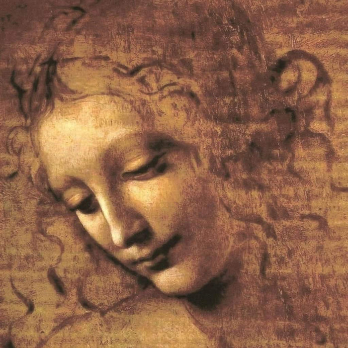 Hoofd van een vrouw (Leonardo da Vinci)