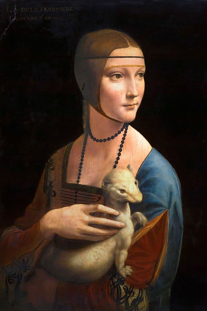 De dame met een hermelijn - Leonardo da Vinci