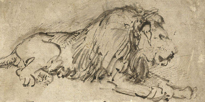 Liggende Leeuw (Rembrandt)
