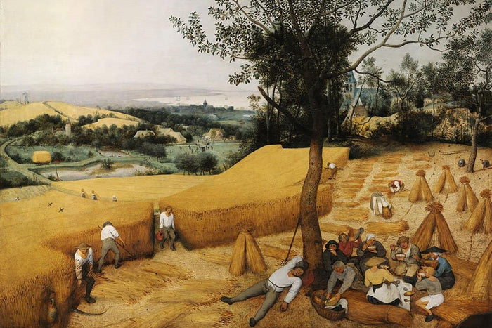 De oogst (Pieter Bruegel)