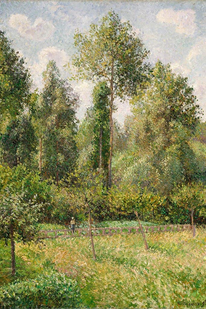 Populieren Eragny - Camille Pissarro