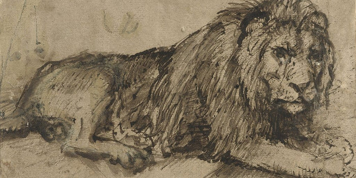 Liggende Leeuw (Rembrandt)