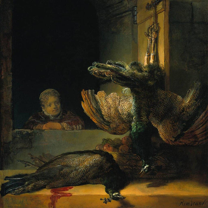 Twee dode pauwen en een meisje (Rembrandt)