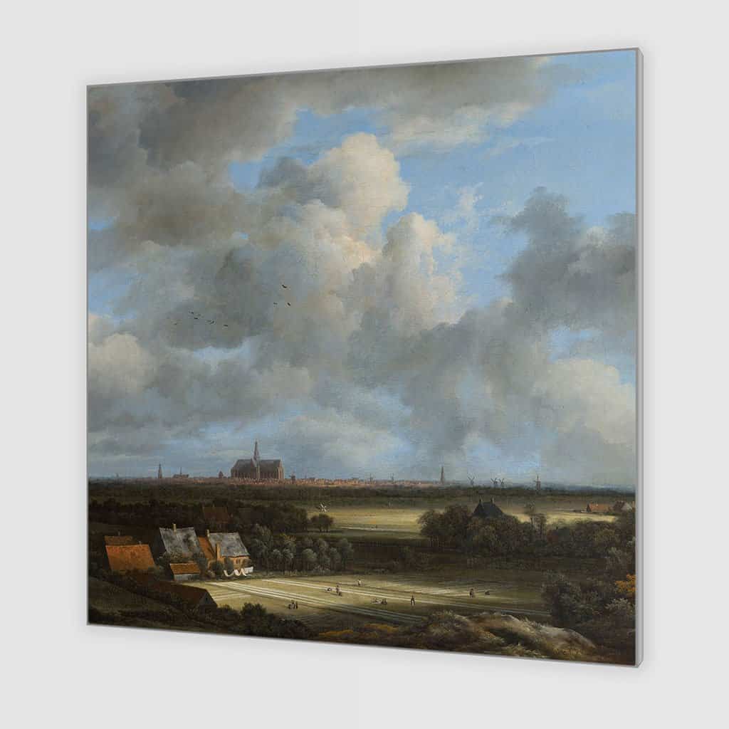 Gezicht op de duinen van Haarlem (Jacob van Ruisdael)