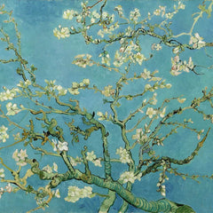 Amandelbloesem (Vincent van Gogh)