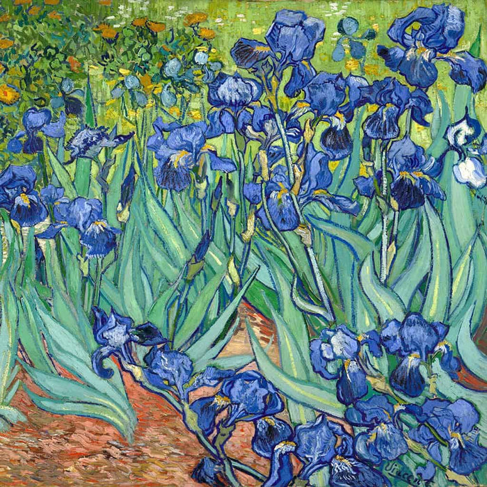 Irissen (Vincent van Gogh)