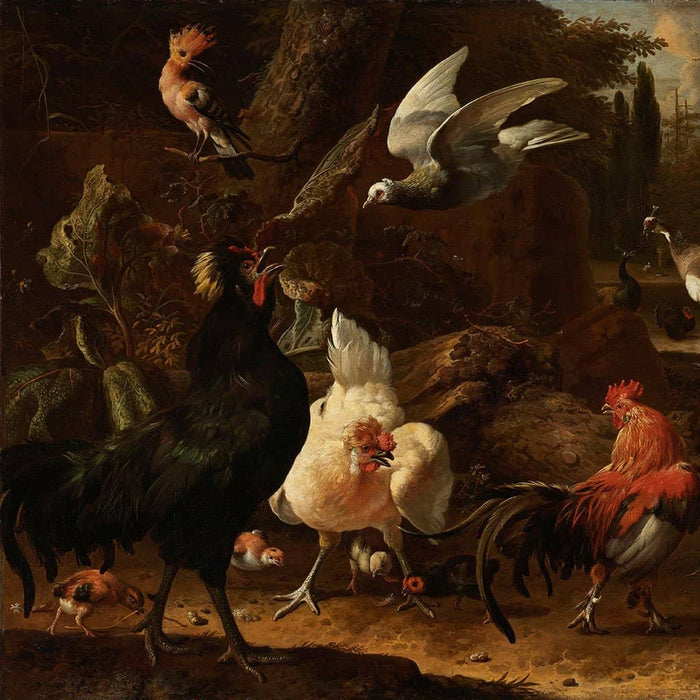 Vogels in een park (Melchior d'Hondecoeter)