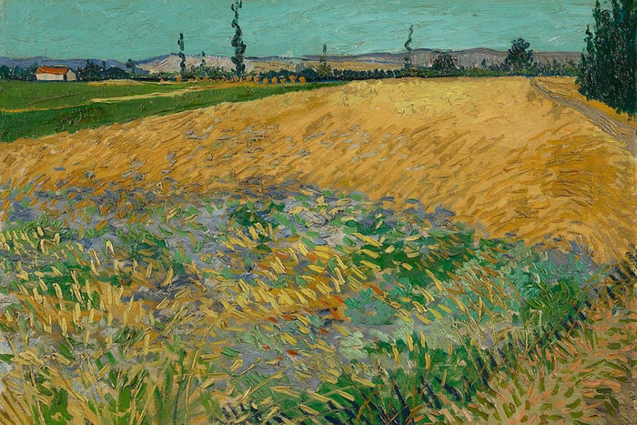 Korenveld (Vincent van Gogh)