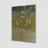Amandelboom in bloei (Vincent van Gogh)