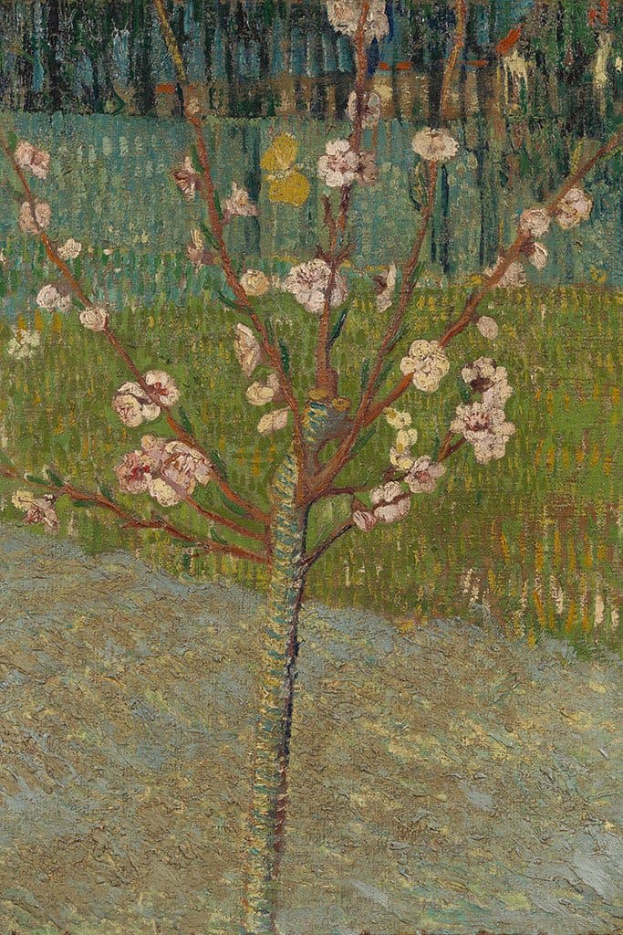 Amandelboom in bloei (Vincent van Gogh)