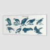 Vogels van bidden