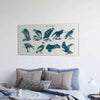 Vogels van bidden