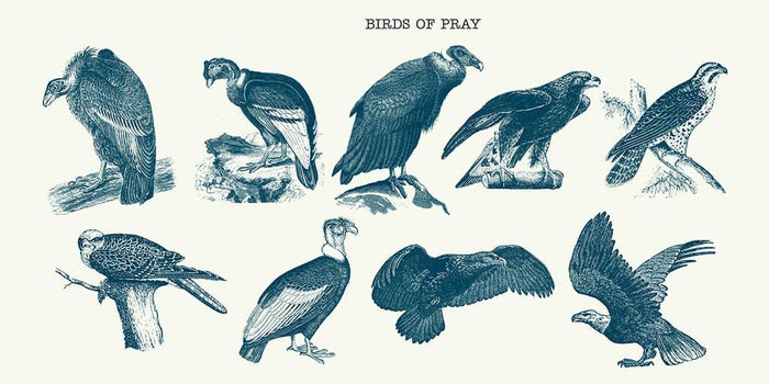 Vogels van bidden