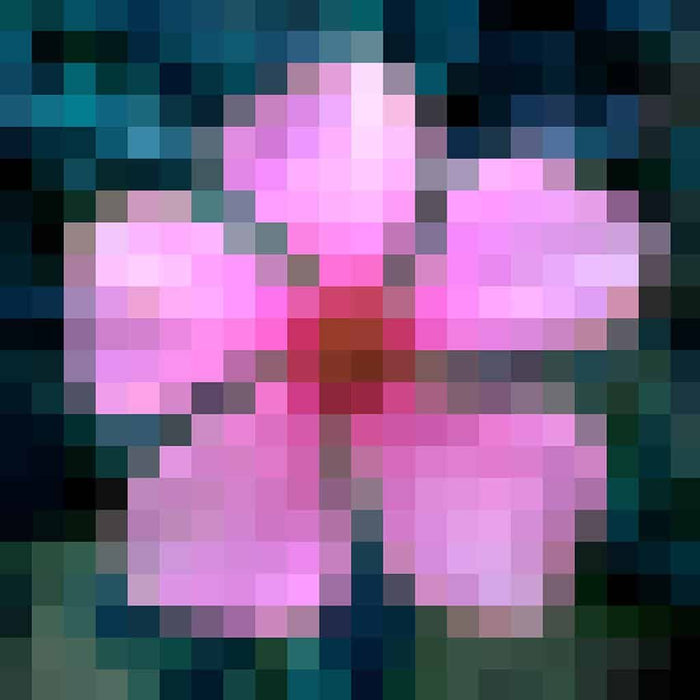 Bloem - Pixel Art