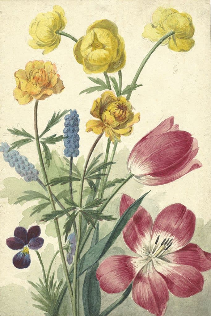 Boeket van tulpen, viooltjes, druifhyacinten en dotters (Willem van Leen)