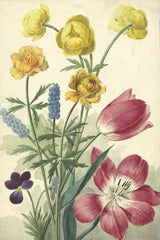 Boeket van tulpen, viooltjes, druifhyacinten en dotters (Willem van Leen)