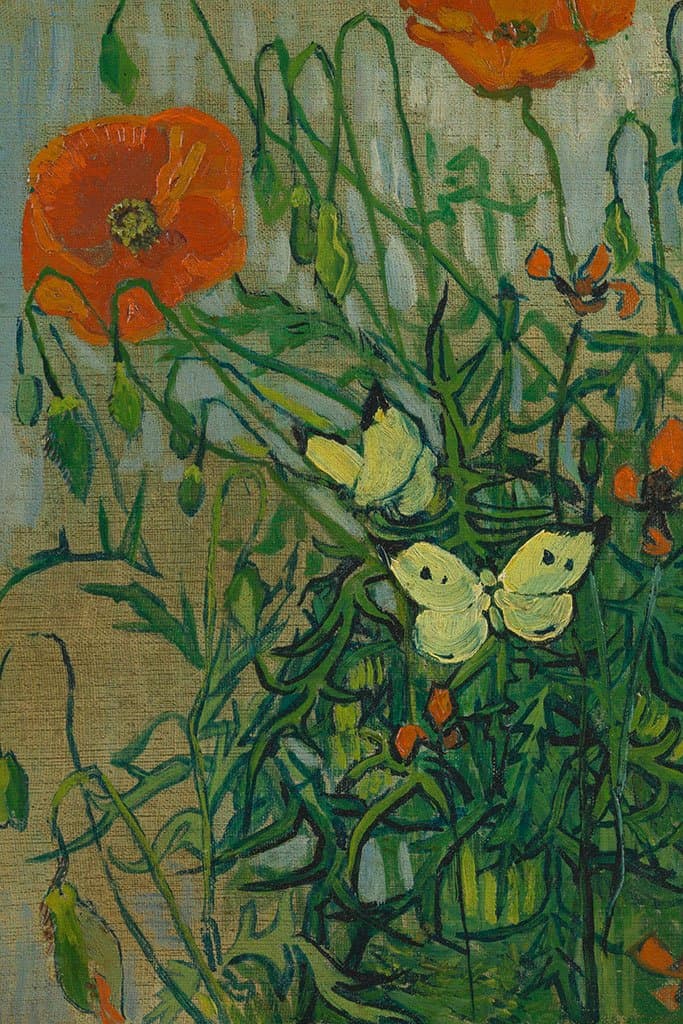 Vlinders en klaprozen (Vincent Van Gogh)