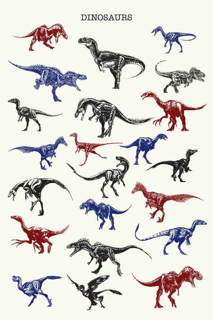 Dinosaurus soorten