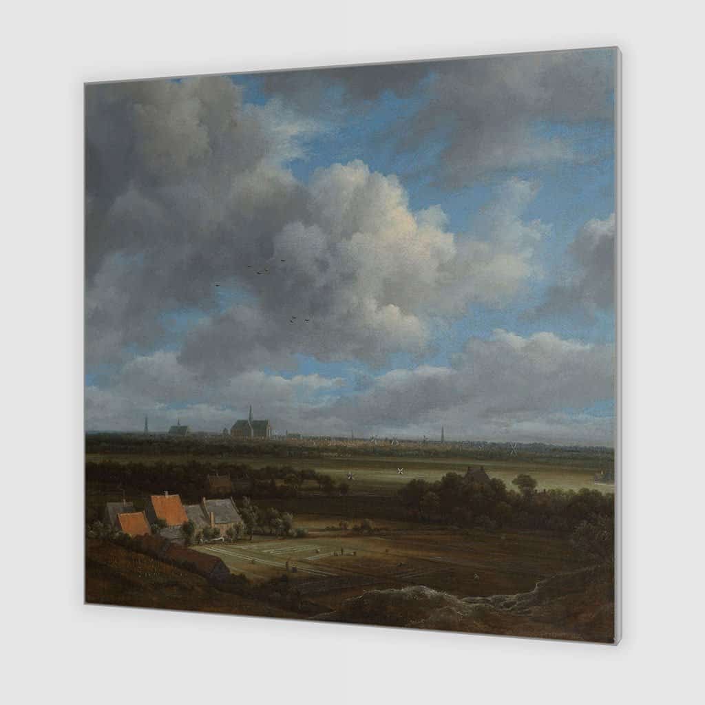 Gezicht op Haarlem vanuit het noordwesten (Jacob Van Ruisdael)