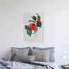Japanse Camellia