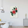 Japanse Camellia