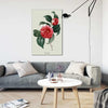 Japanse Camellia