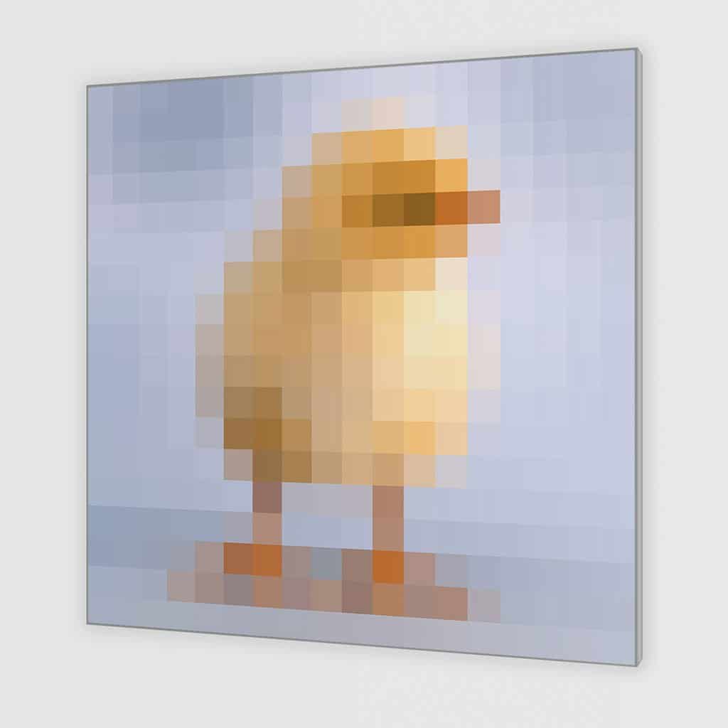 Kuiken - Pixel Art