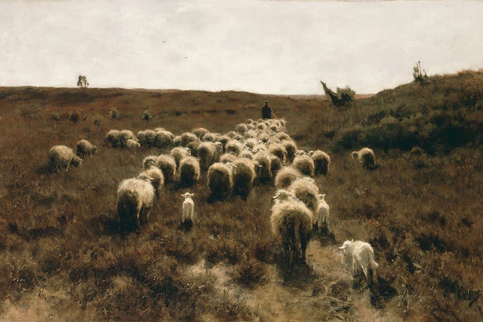 Terugkeer van de kudde (Anton Mauve)