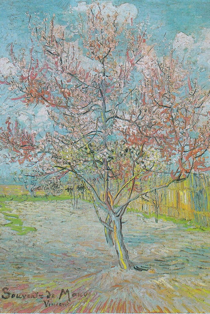 Souvenir De Mauve (Vincent Van Gogh)