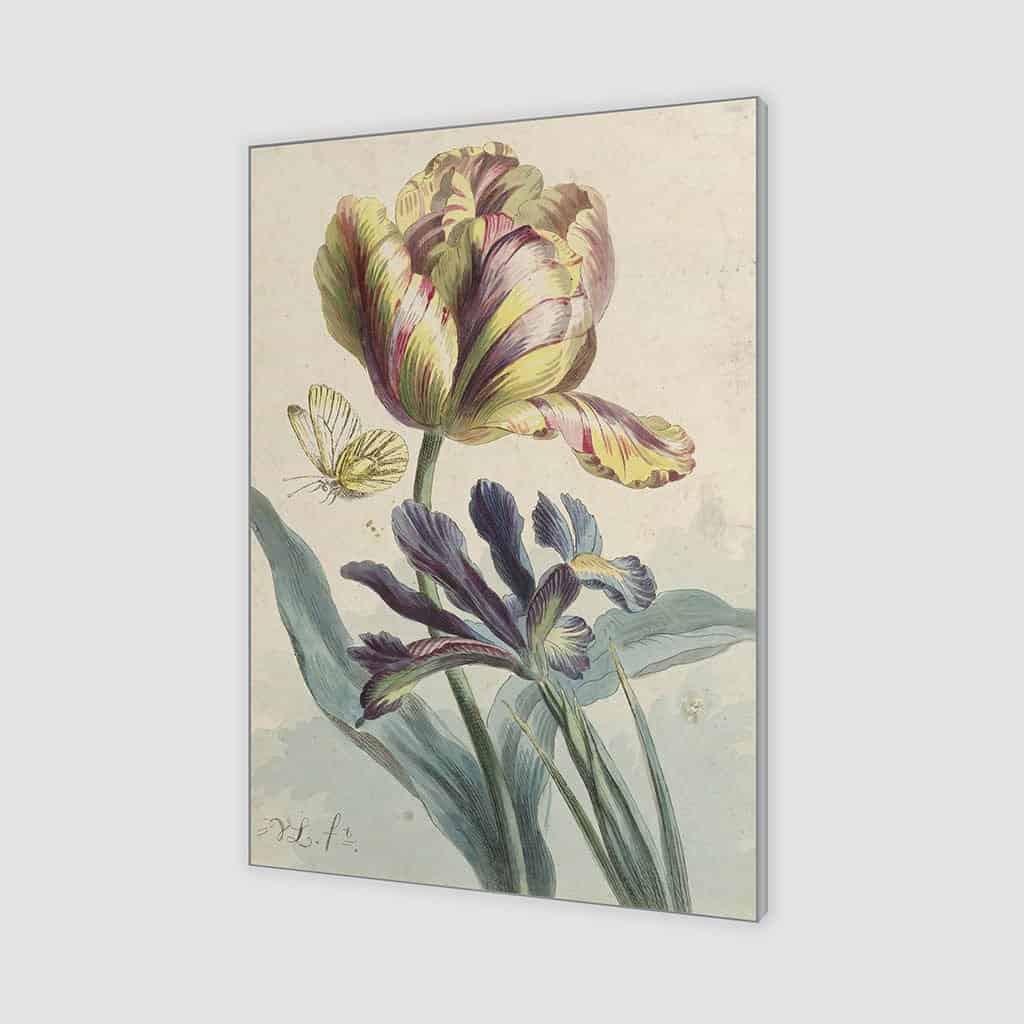Tulp en Iris (Willem van Leen)