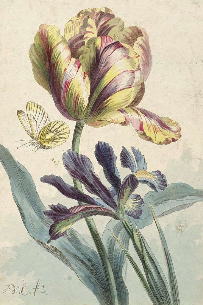 Tulp en Iris (Willem van Leen)