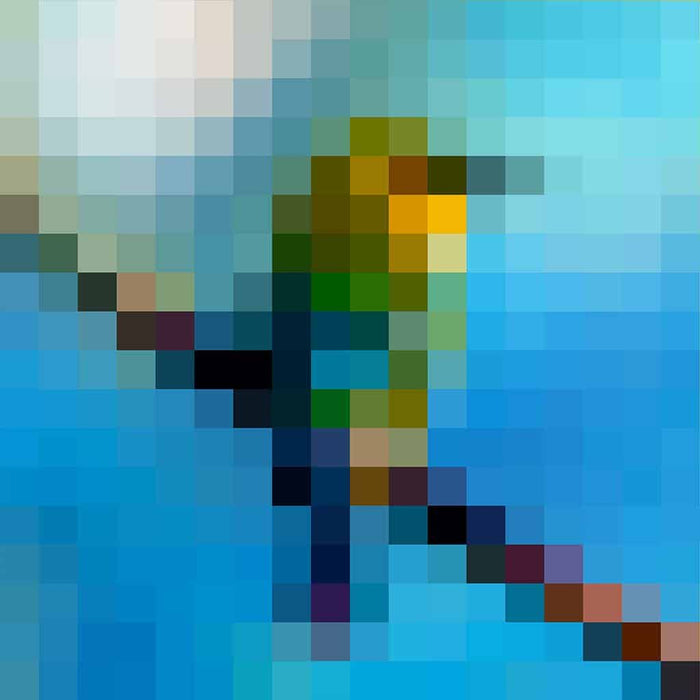 Vogel - Pixel Art